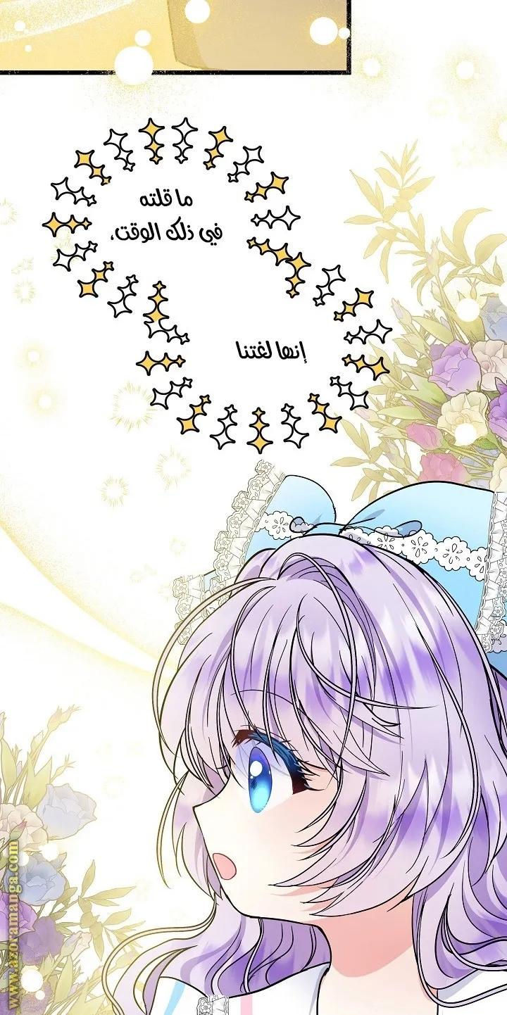 الصفحة 27