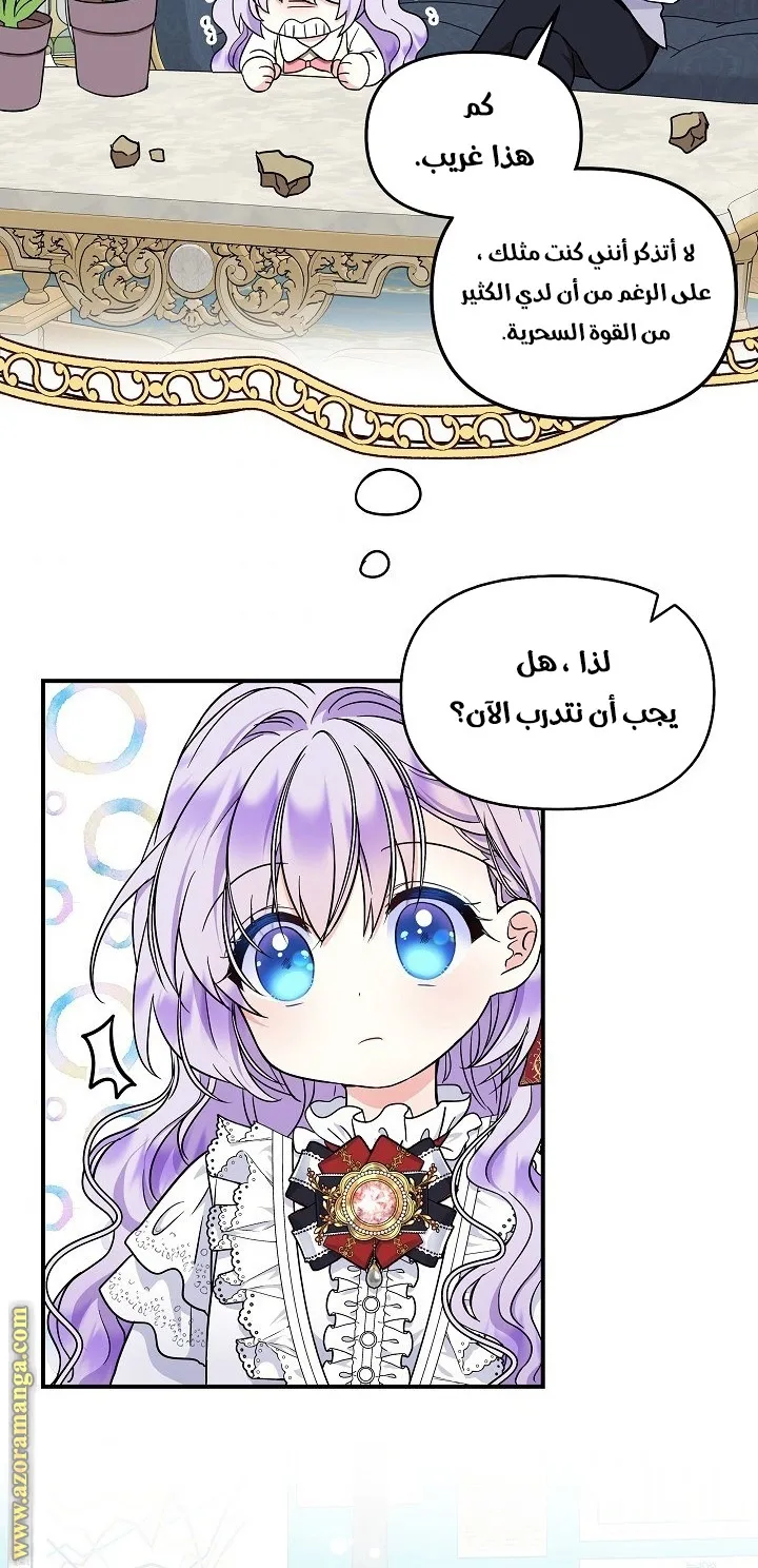 الصفحة 40