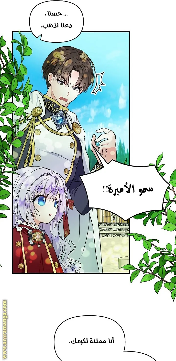 الصفحة 61