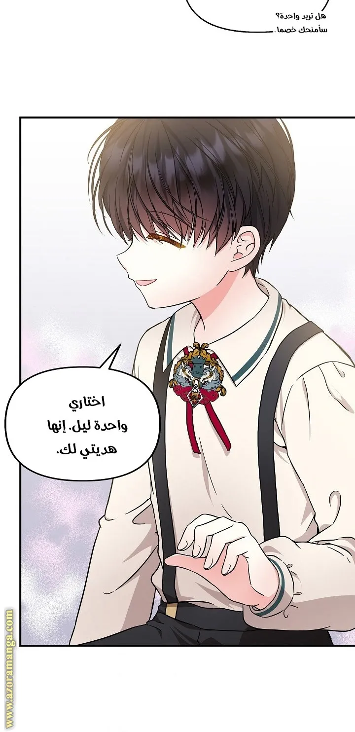 الصفحة 40