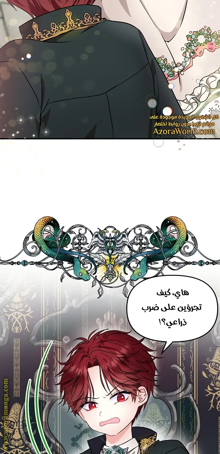 الصفحة 45