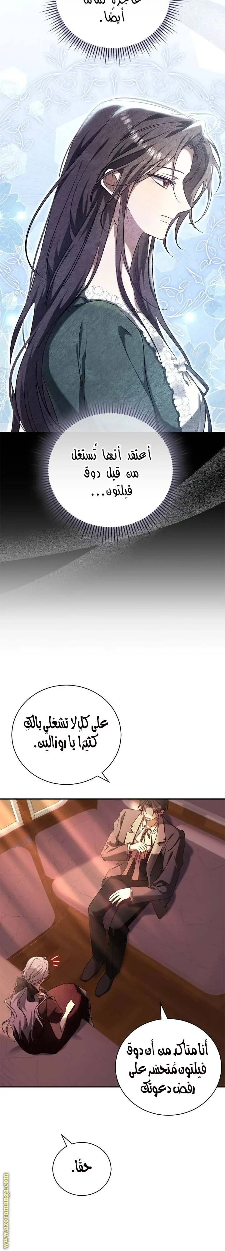 الصفحة 17