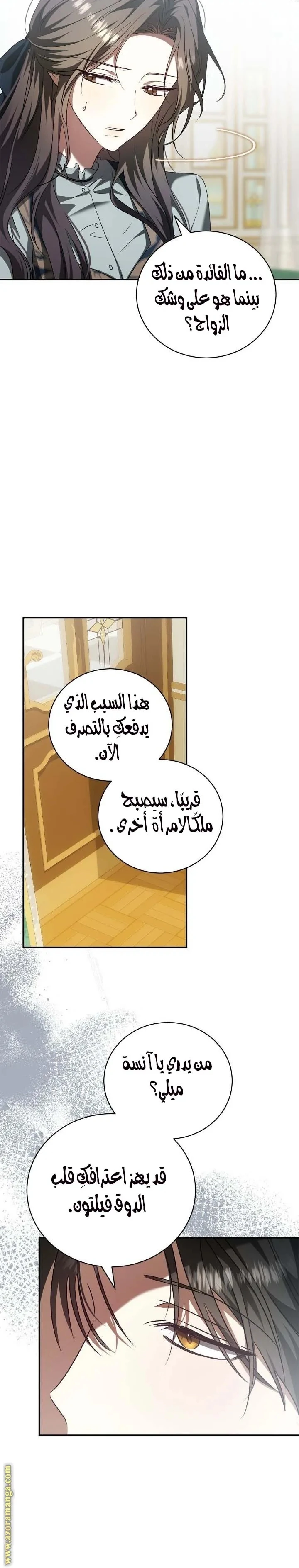 الصفحة 27