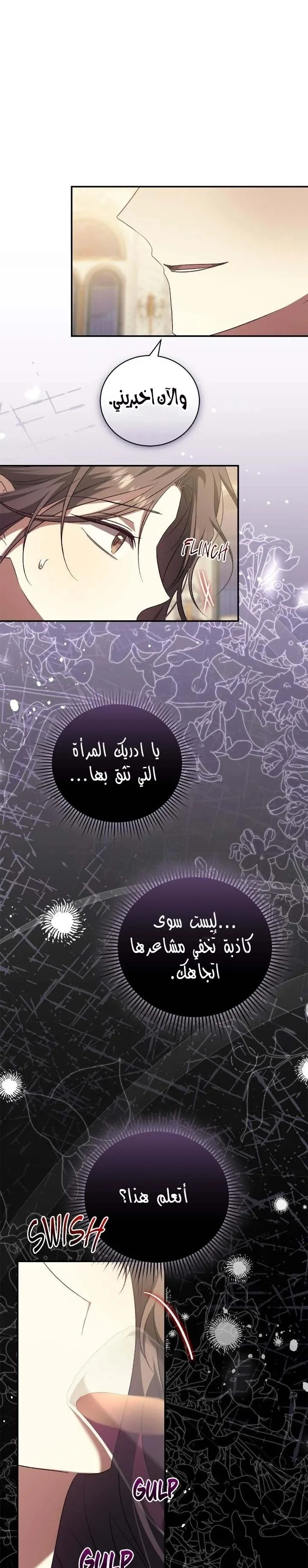 الصفحة 26