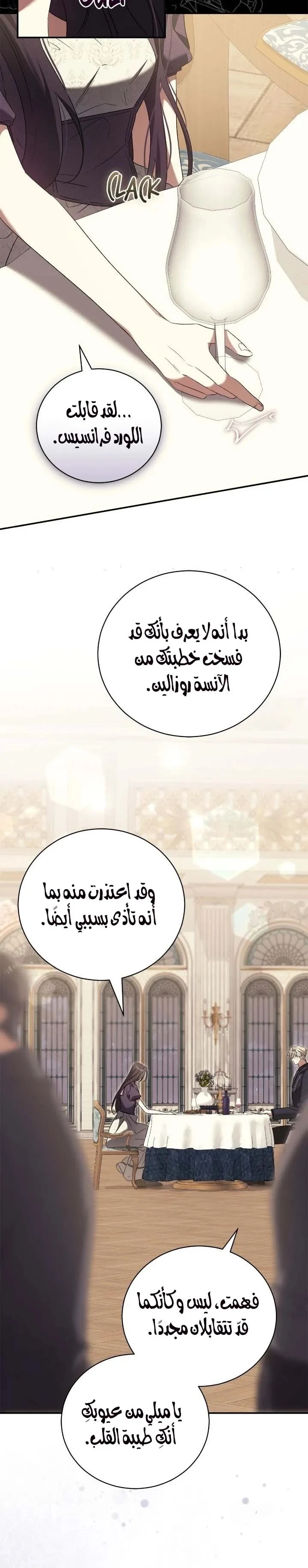 الصفحة 27