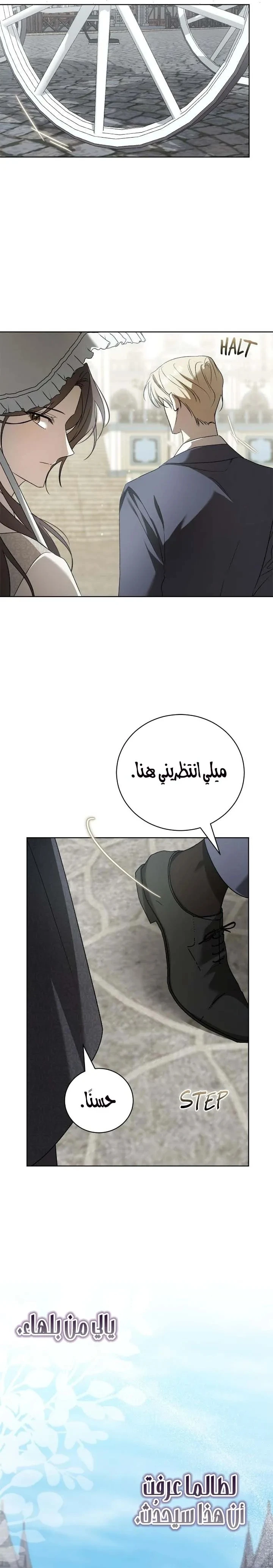 الصفحة 26