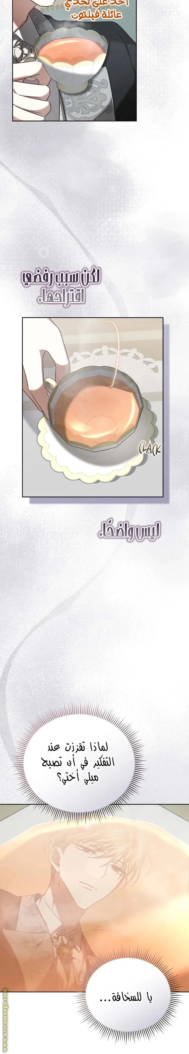 الصفحة 24