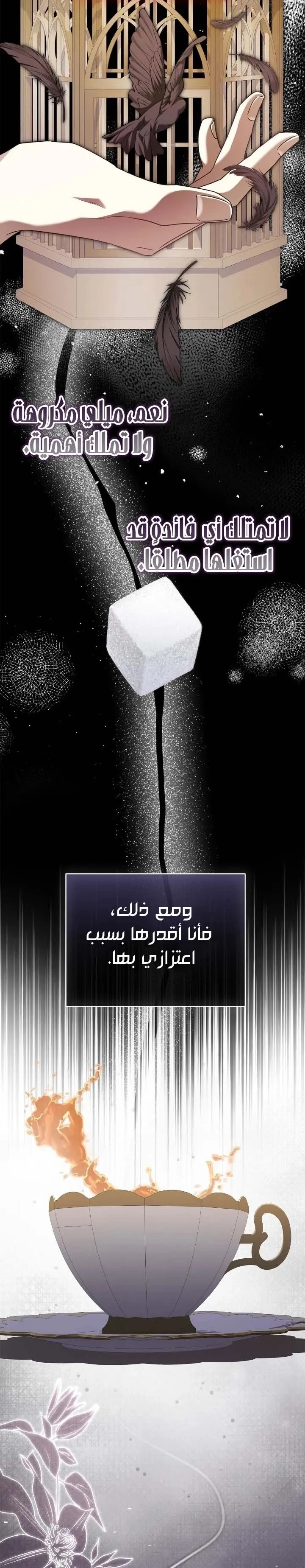 الصفحة 27