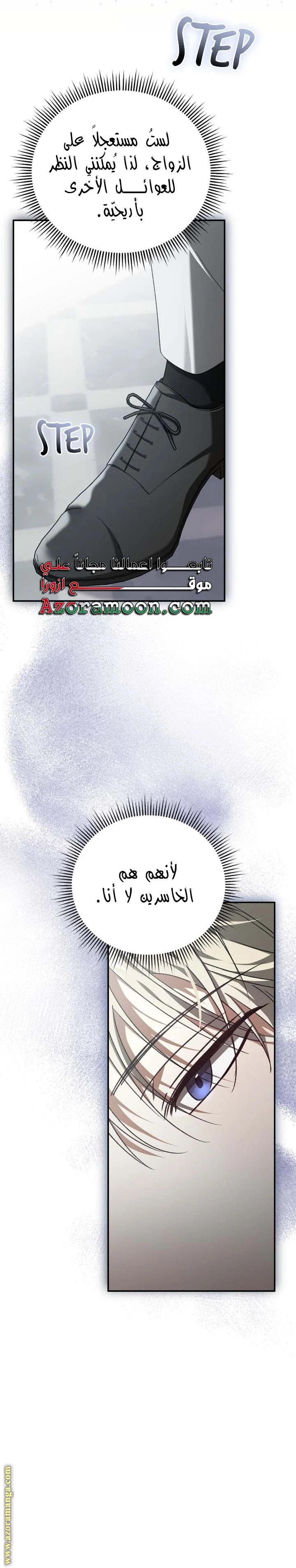الصفحة 13