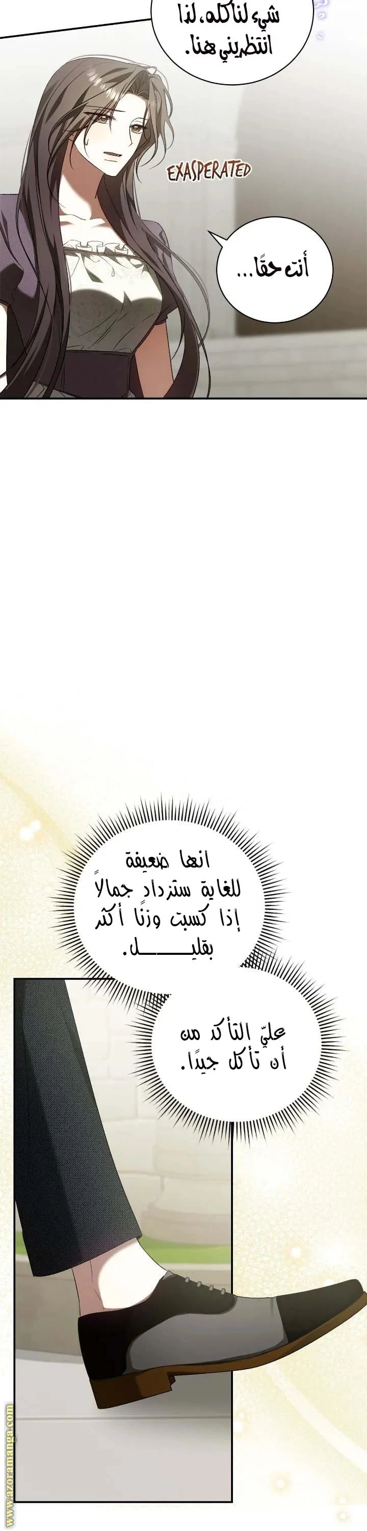 الصفحة 27