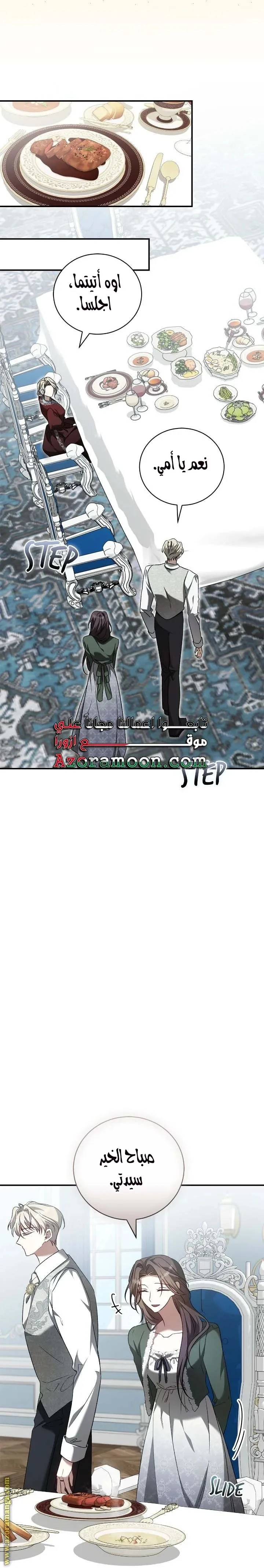 الصفحة 17