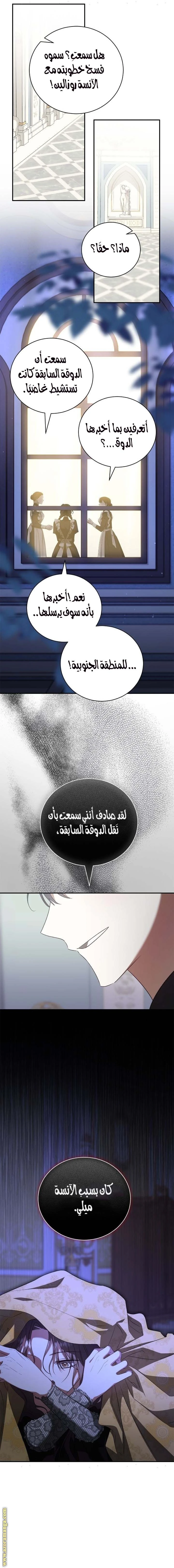 الصفحة 3
