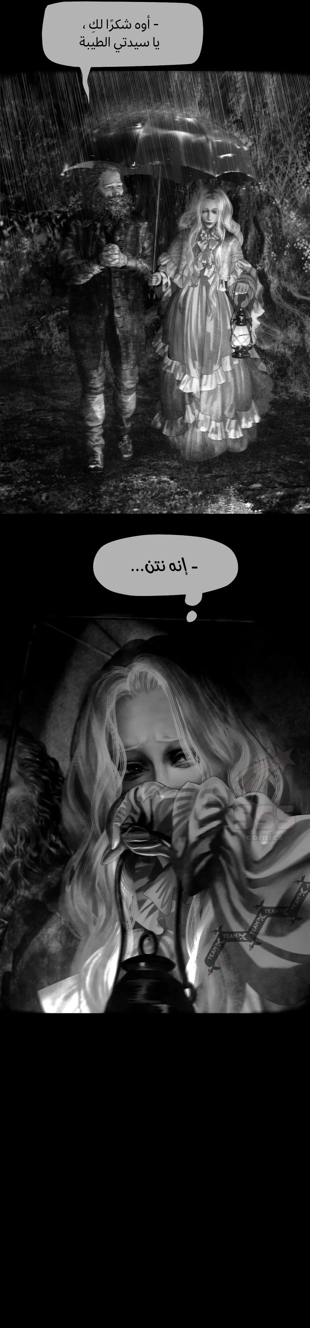 الصفحة 17