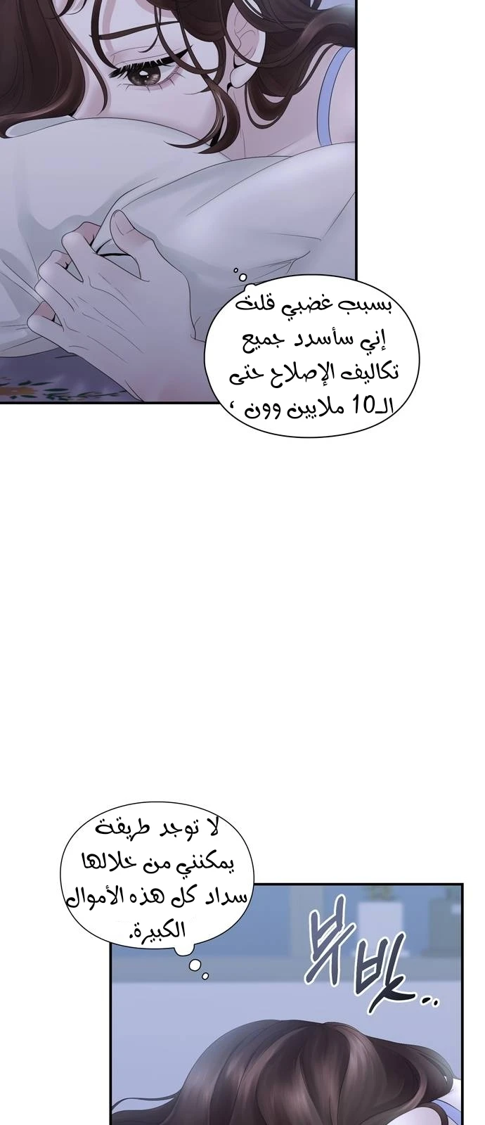 الصفحة 17