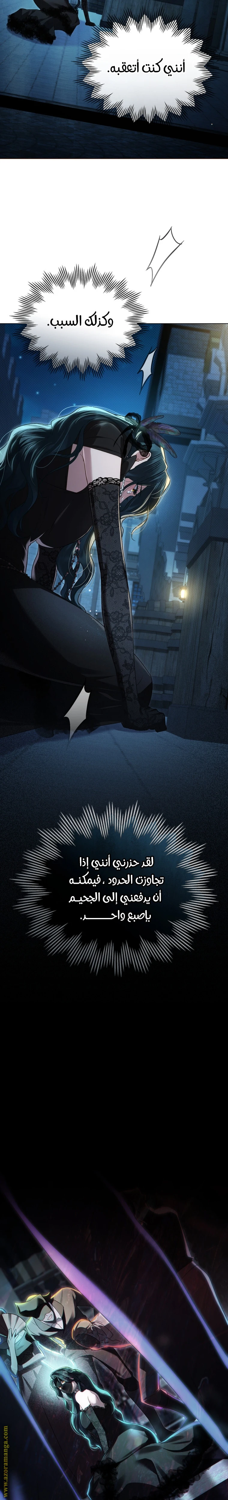 الصفحة 13