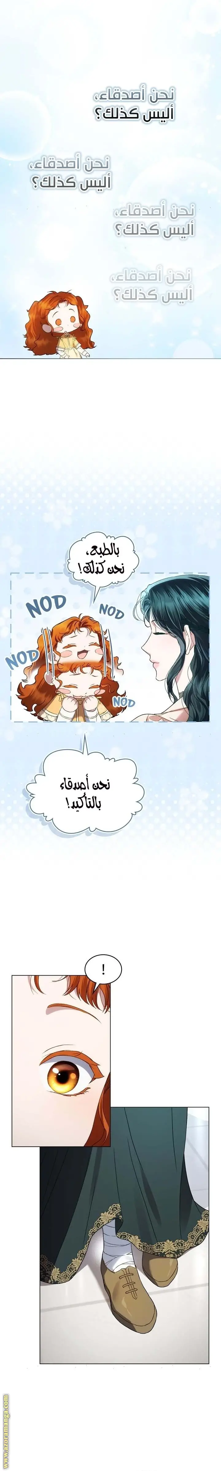 الصفحة 17