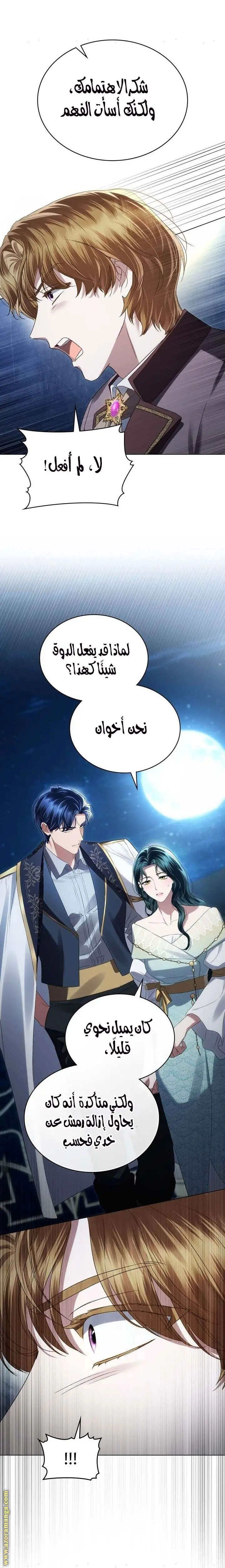 الصفحة 17