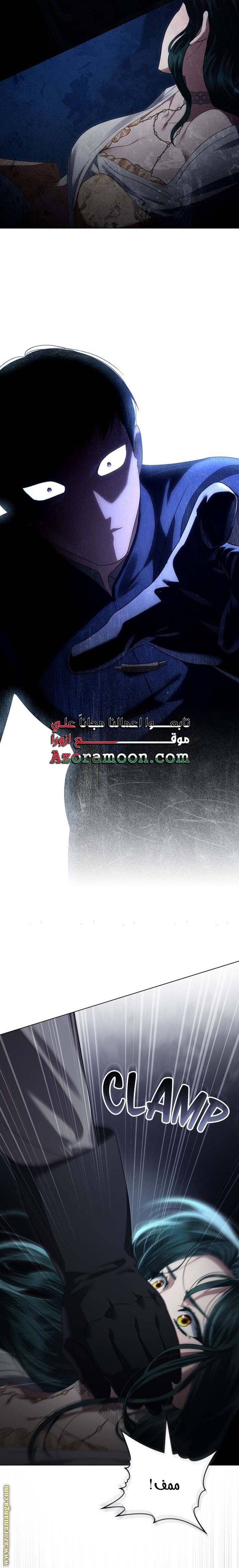 الصفحة 21