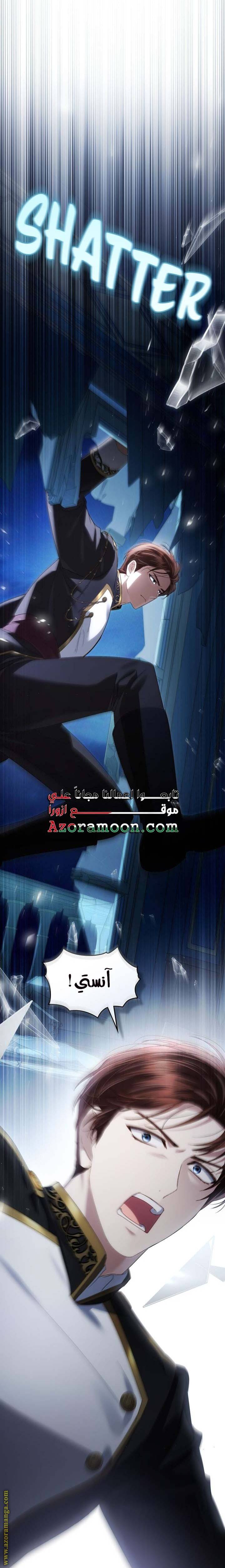 الصفحة 25