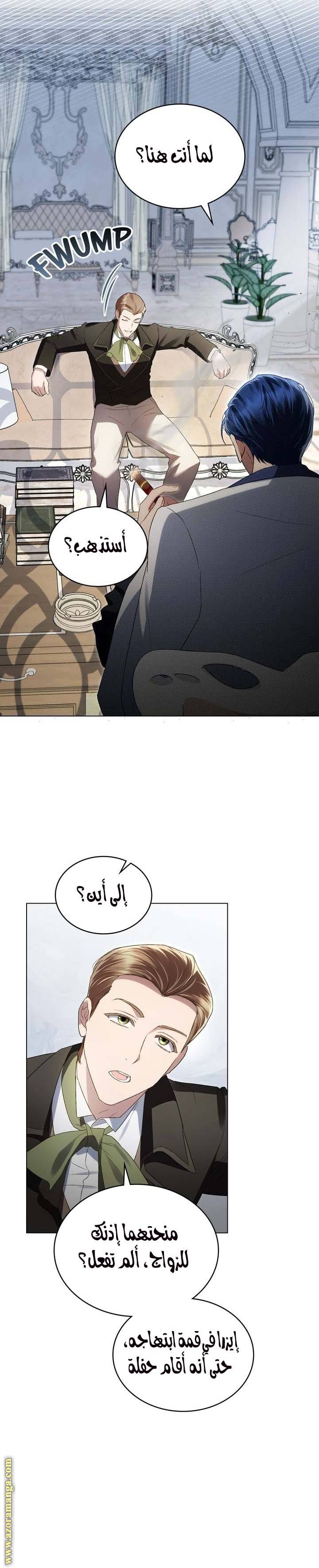 الصفحة 20