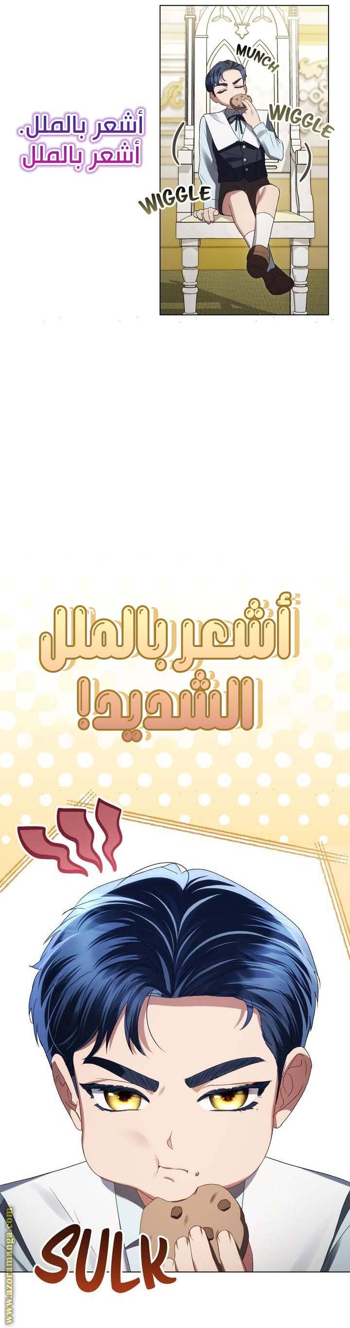 الصفحة 16