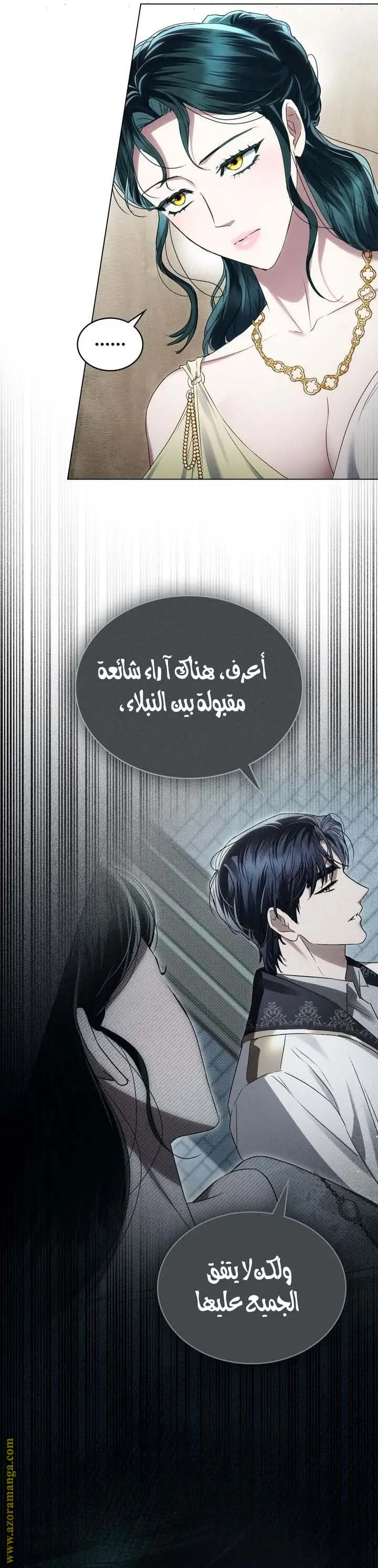 الصفحة 17