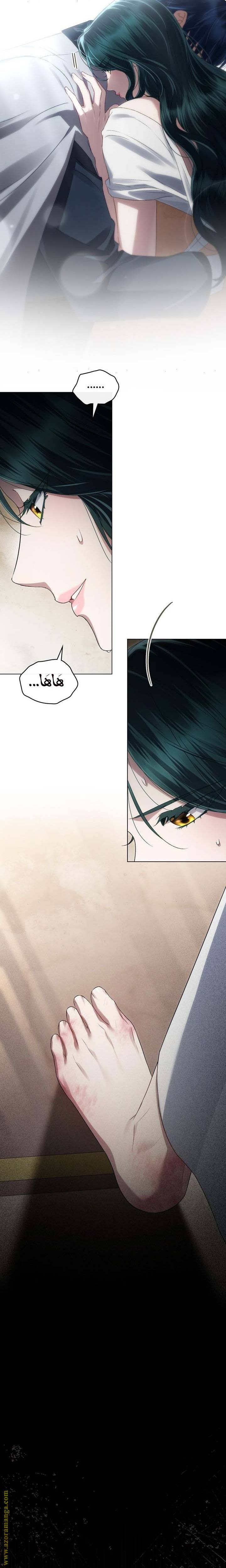 الصفحة 13
