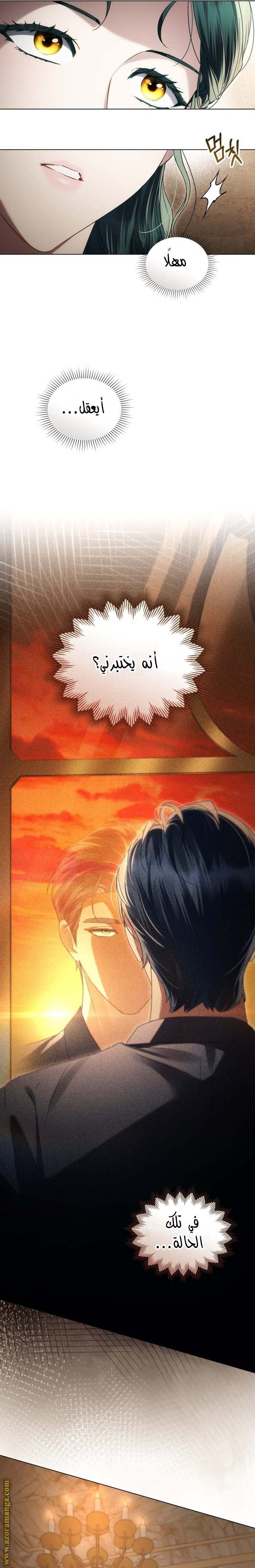 الصفحة 19