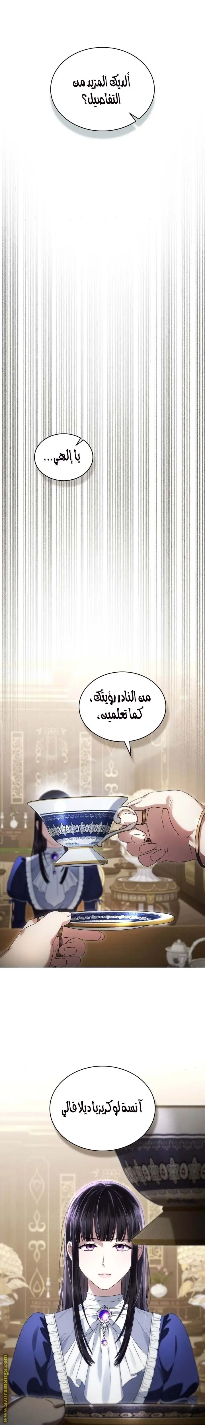 الصفحة 13