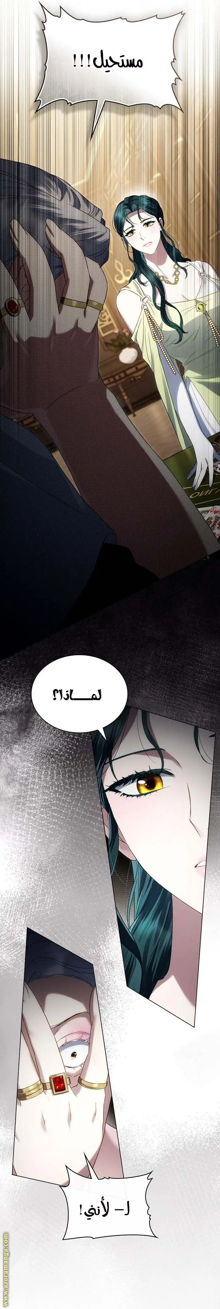 الصفحة 25