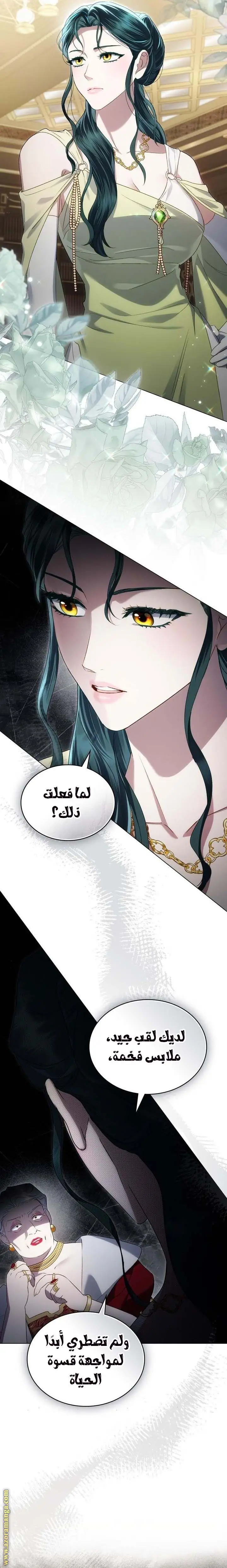 الصفحة 27