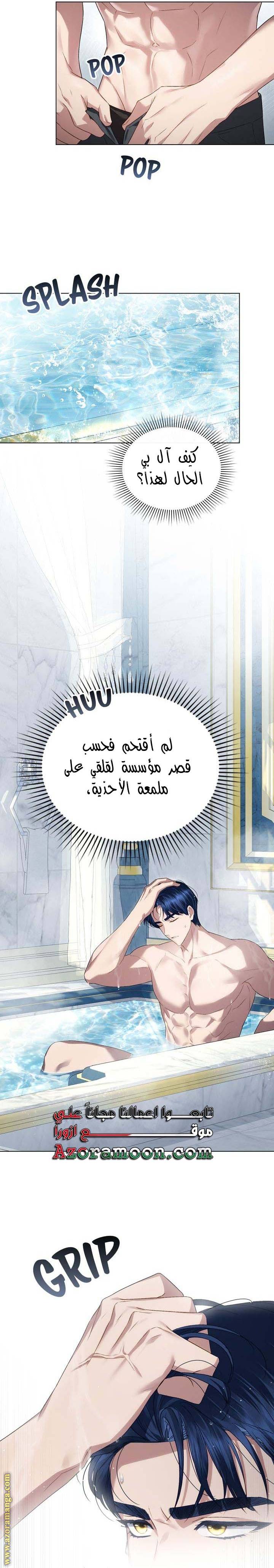 الصفحة 18