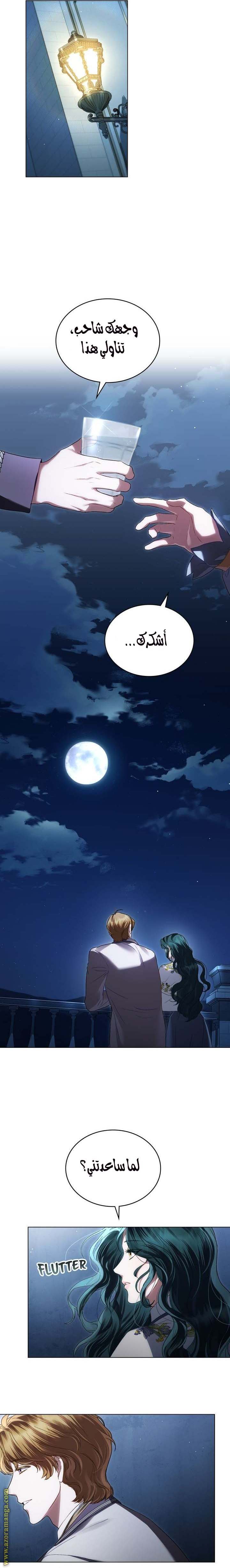 الصفحة 17