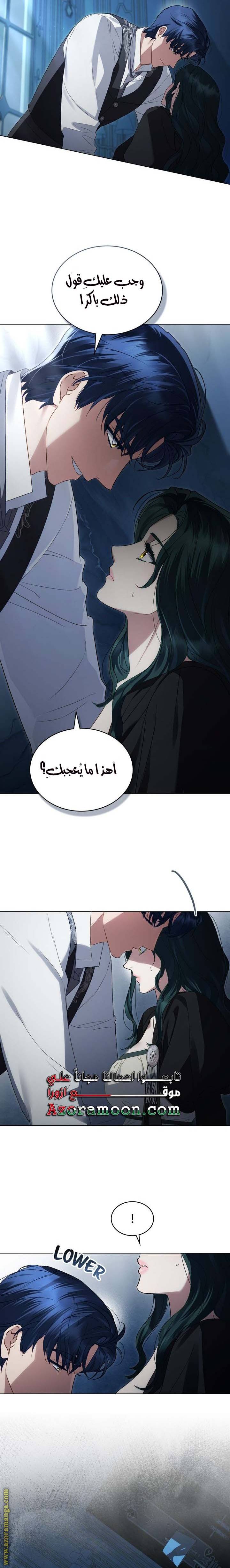 الصفحة 17
