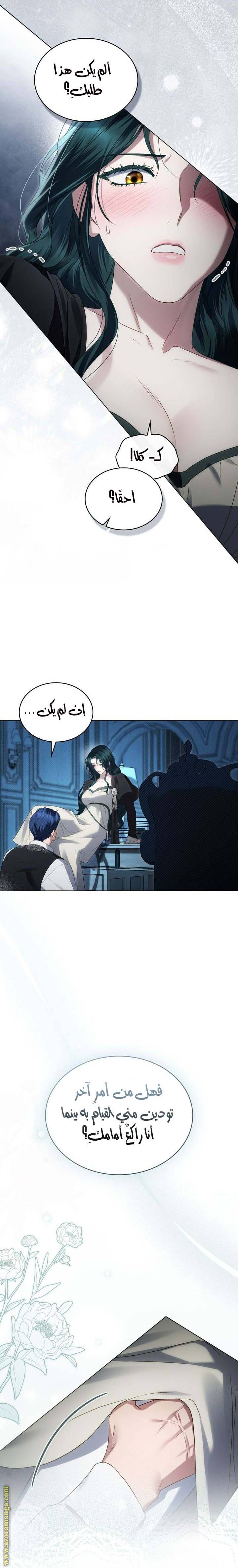 الصفحة 21