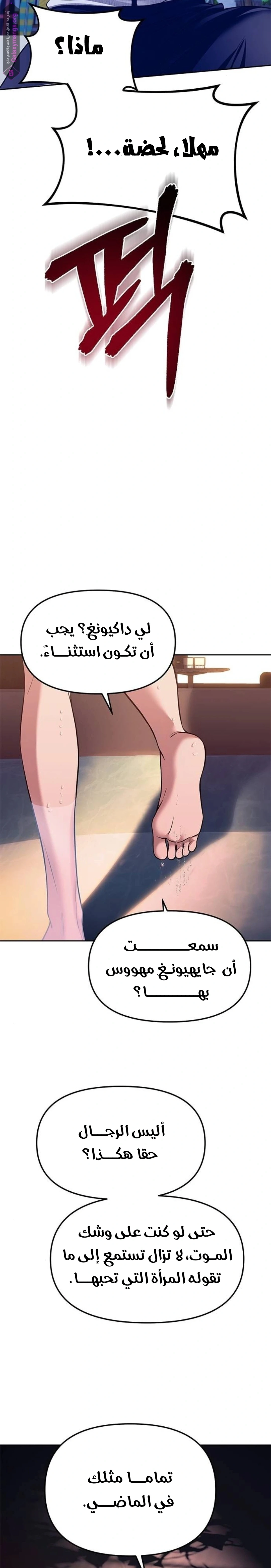 الصفحة 15