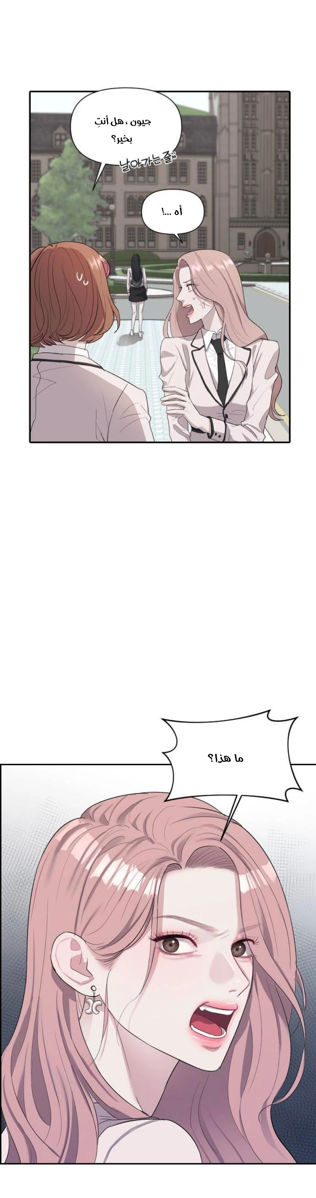 الصفحة 22