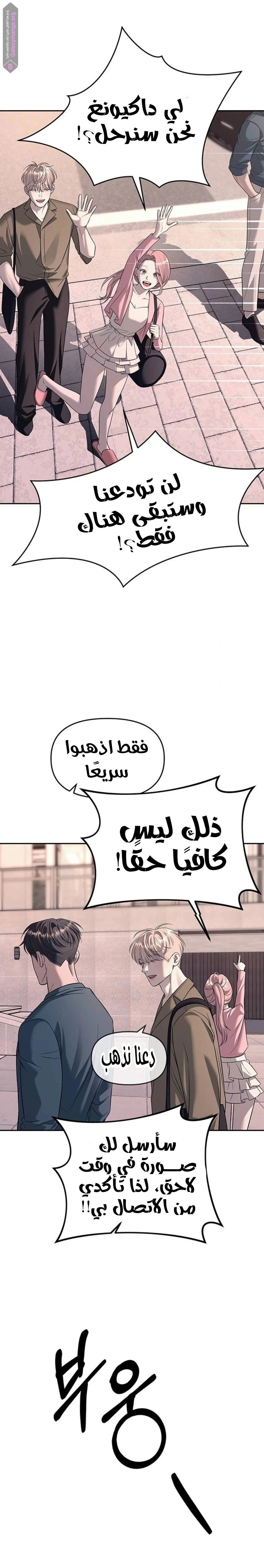 الصفحة 17