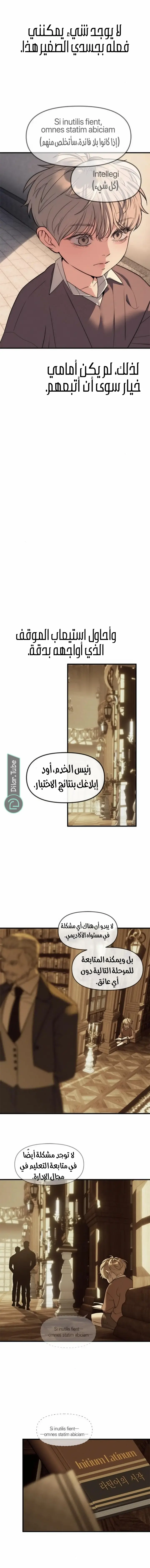 الصفحة 17