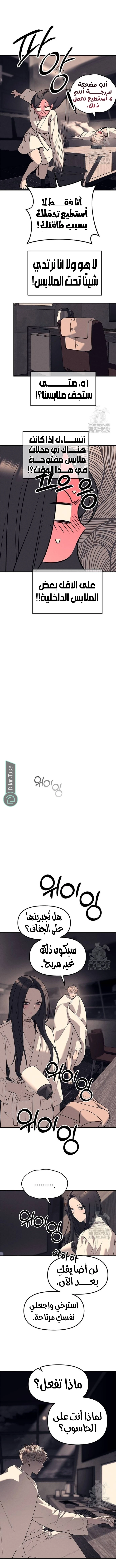 الصفحة 3
