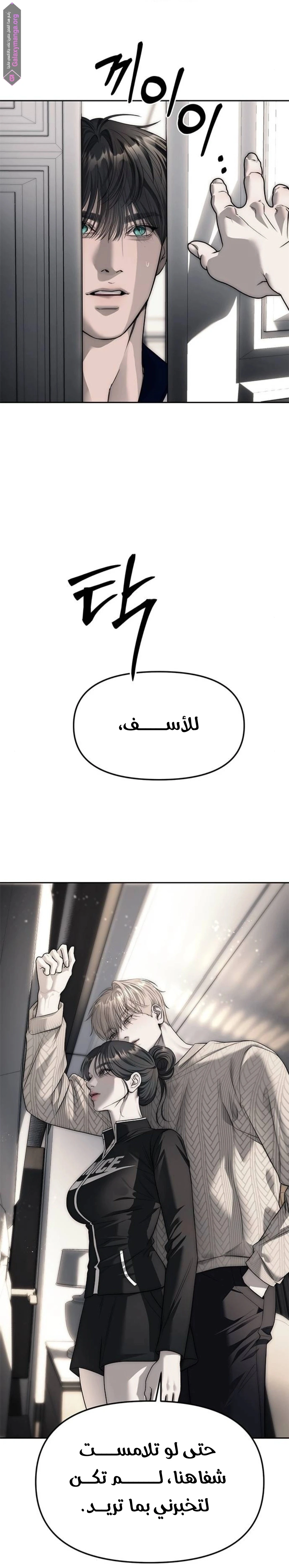 الصفحة 5