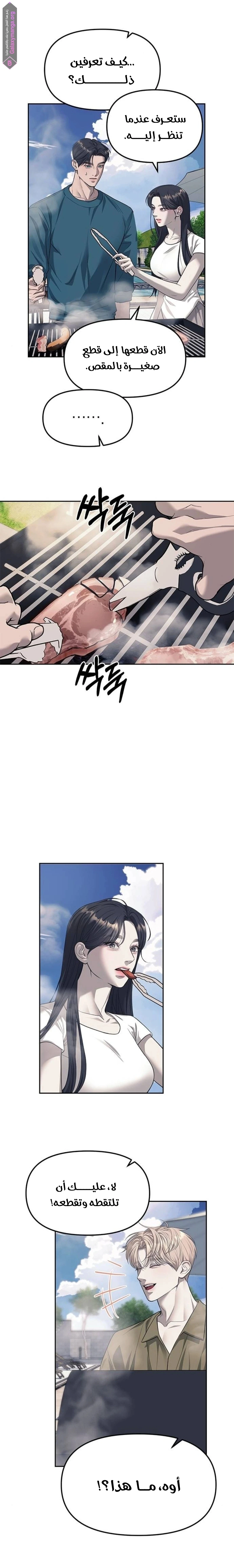 الصفحة 15