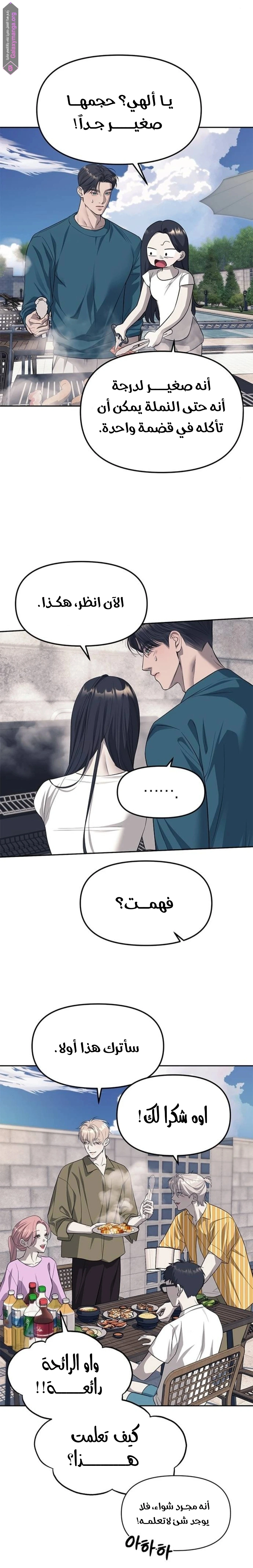 الصفحة 16