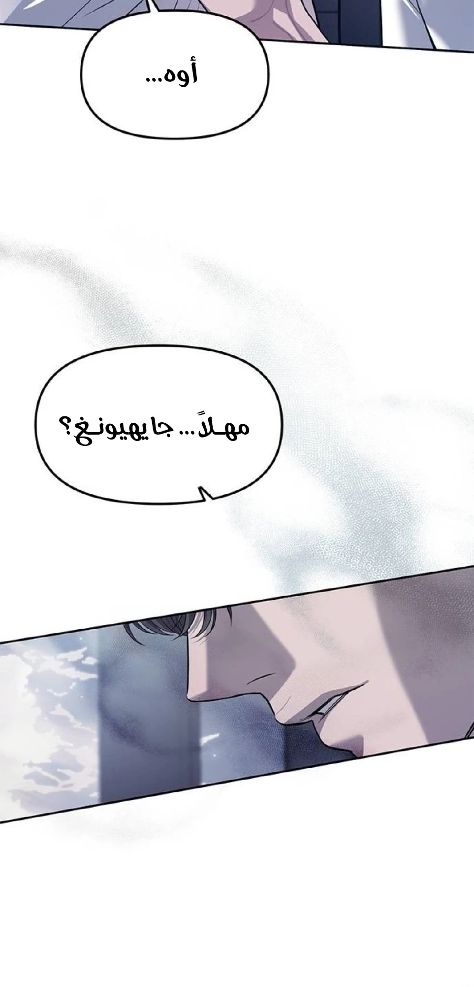 الصفحة 43