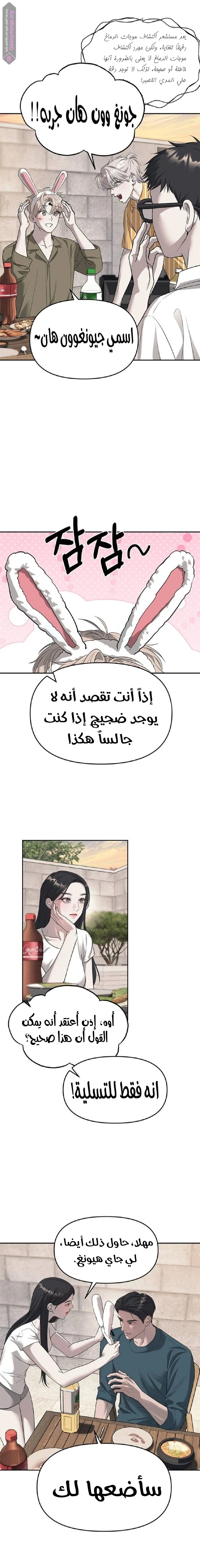 الصفحة 13