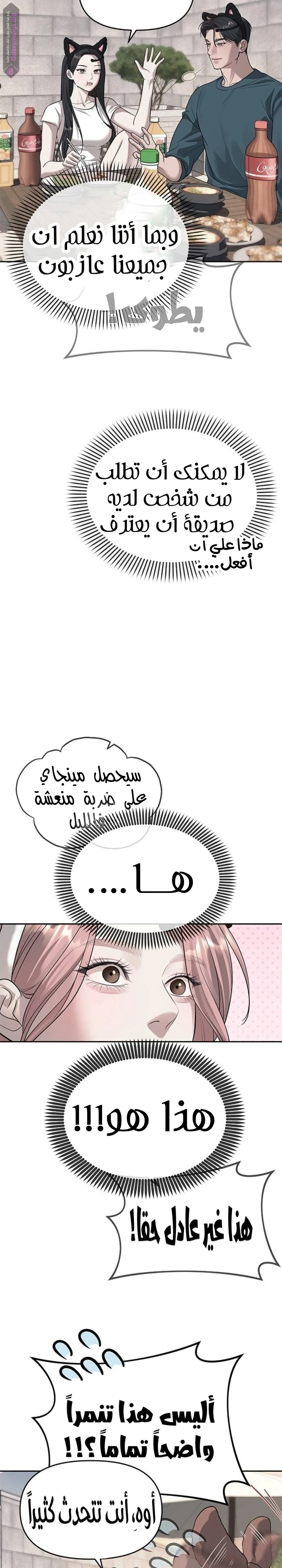 الصفحة 19