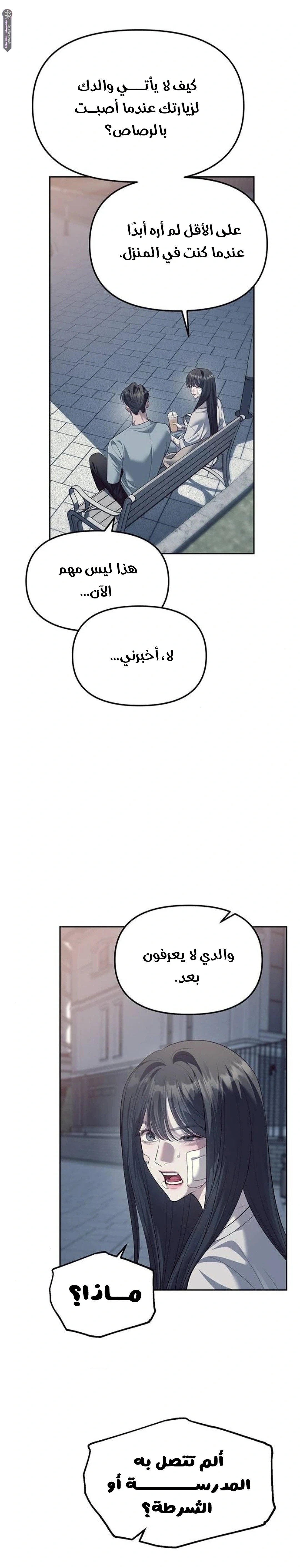 الصفحة 13
