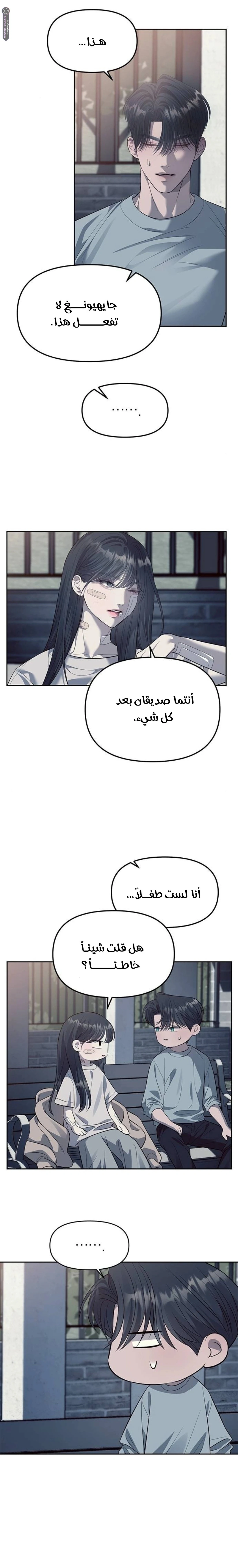 الصفحة 17