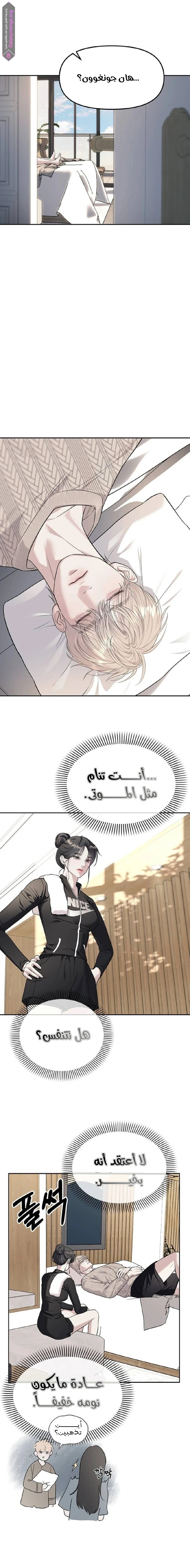 الصفحة 3