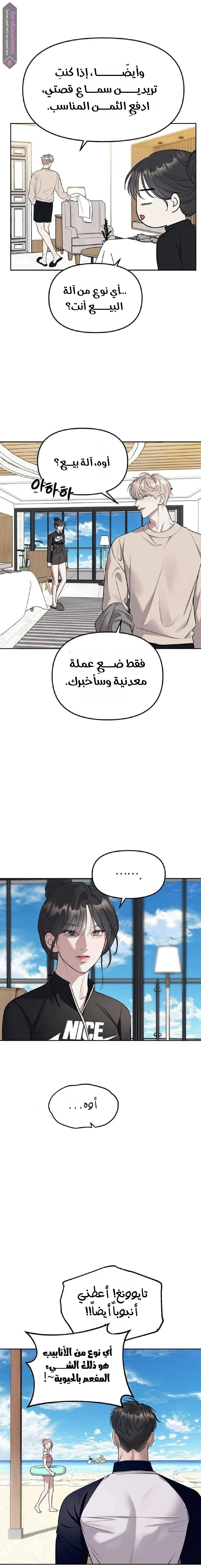 الصفحة 17